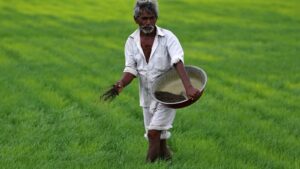سبز کردن زمین های بایر، هندوستان سبزتر را تضمین نمی کند